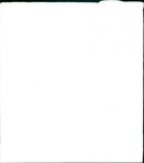 1991 DUKE DAVID - Vintage Photograph