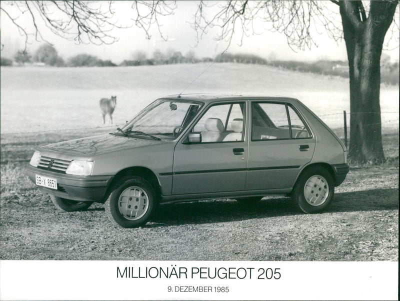 Peugeot 205 - Vintage Photograph