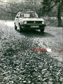 Volkswagen - Vintage Photograph