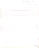 Fiat Panda Primavera - Vintage Photograph