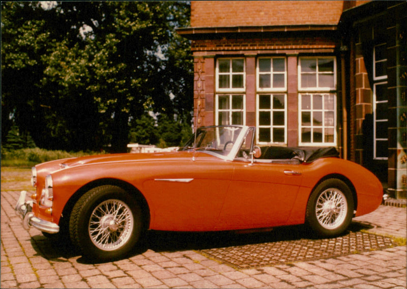 Mixed Cars Varius - Vintage Photograph