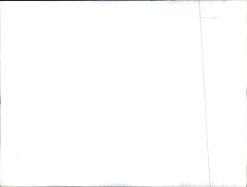 Mixed Cars Varius - Vintage Photograph