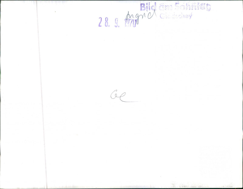 Mixed Cars Varius - Vintage Photograph