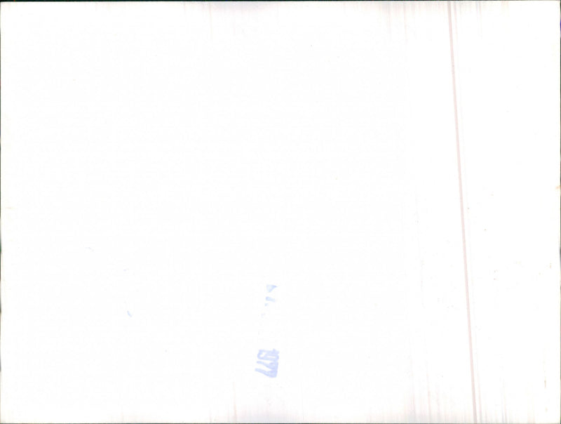 Mixed Cars Varius - Vintage Photograph