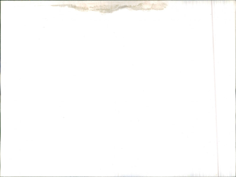 Mixed Cars Varius - Vintage Photograph