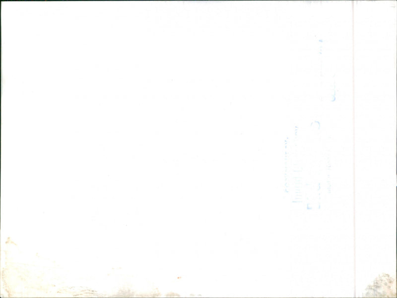 Mixed Cars Varius - Vintage Photograph