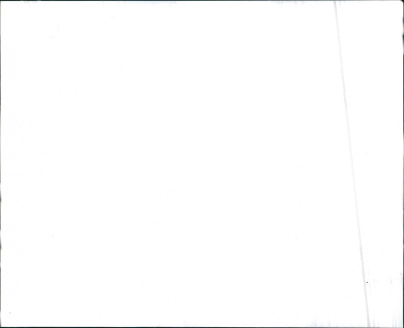 Mixed Cars Varius - Vintage Photograph