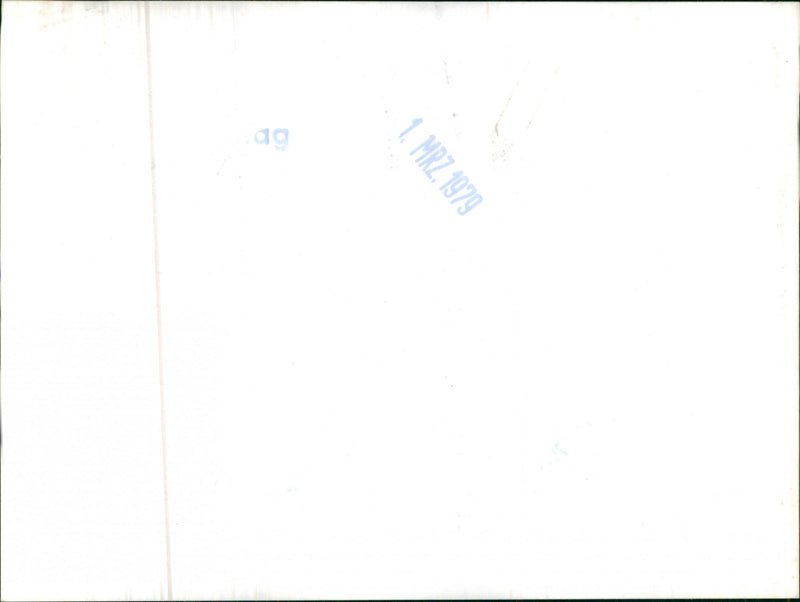 Mixed Cars Varius - Vintage Photograph