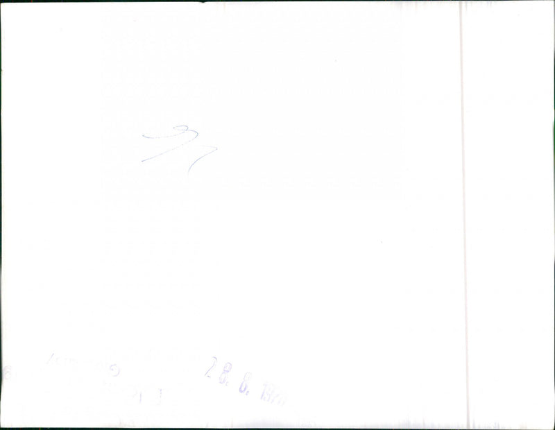 Mixed Cars Varius - Vintage Photograph