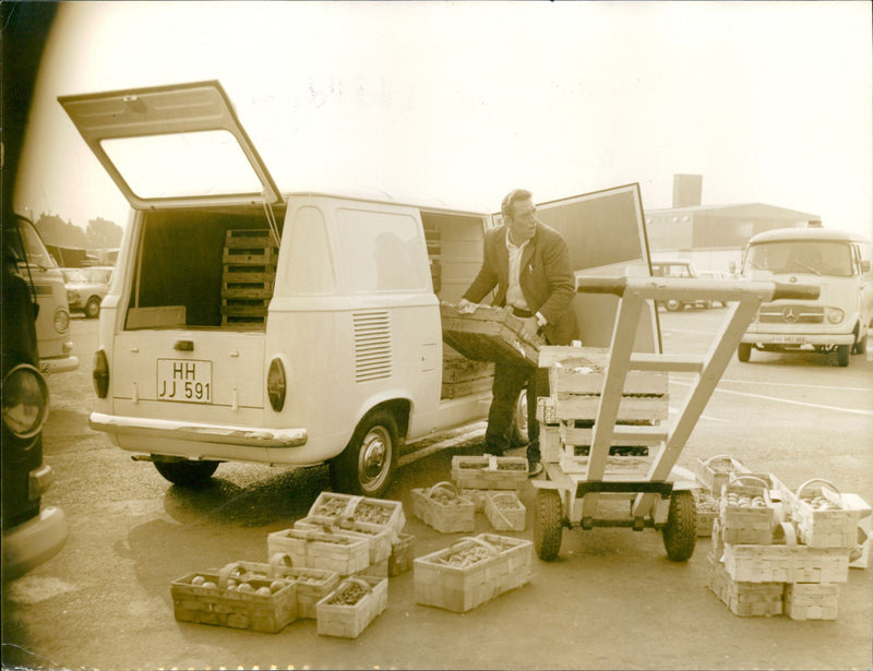 Mixed Cars Varius - Vintage Photograph