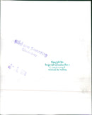 Mixed Cars Varius - Vintage Photograph