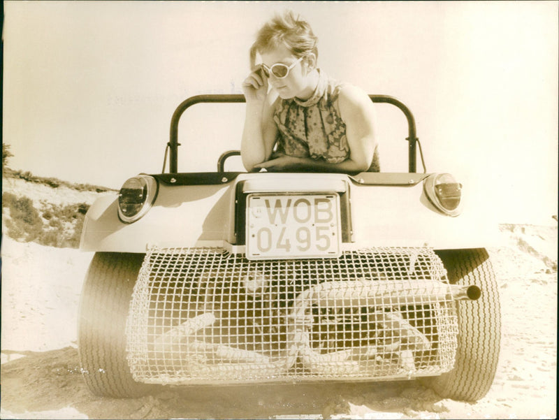 Mixed Cars Varius - Vintage Photograph