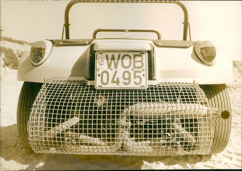 Mixed Cars Varius - Vintage Photograph