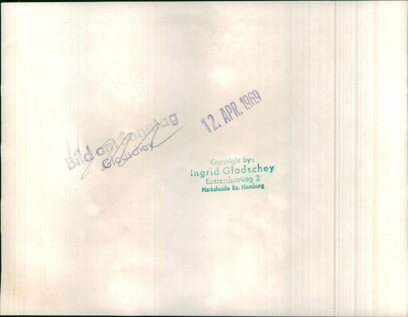 Mixed Cars Varius - Vintage Photograph