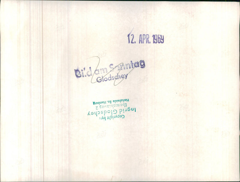 Mixed Cars Varius - Vintage Photograph