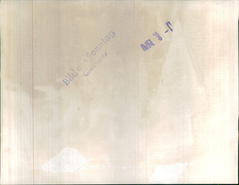 Mixed Cars Varius - Vintage Photograph