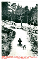 Husky Racing - Vintage Photograph