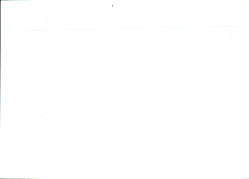 Fighter Collection's 1942 Hurricane - Vintage Photograph