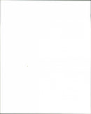 Vineyard - Vintage Photograph