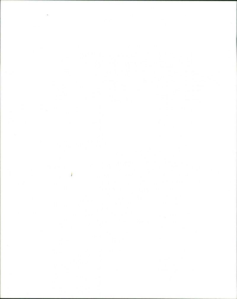 Vineyard - Vintage Photograph