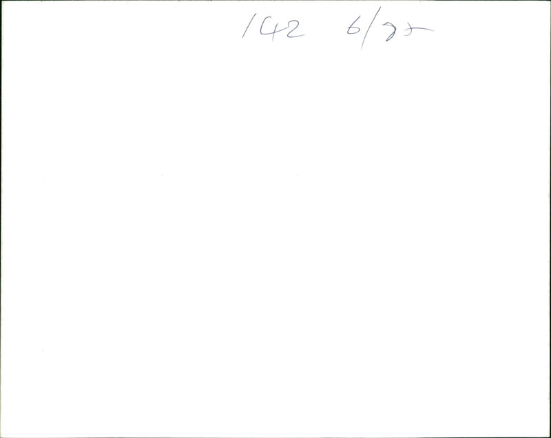 Vineyard/Montana - Vintage Photograph