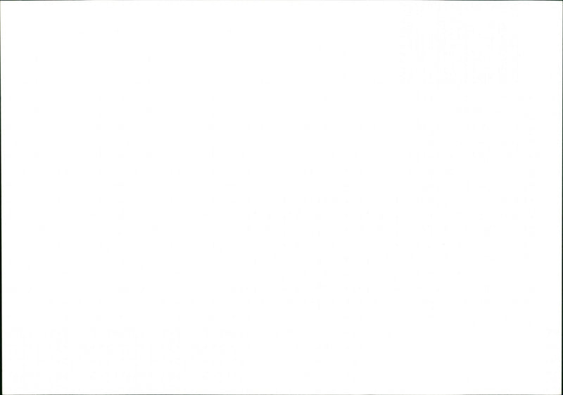 Vineyard - Vintage Photograph