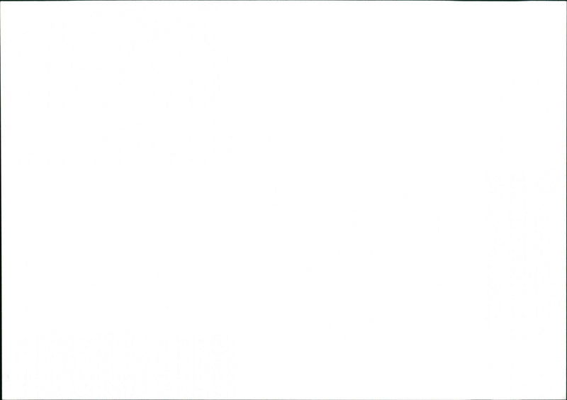 Vineyard - Vintage Photograph