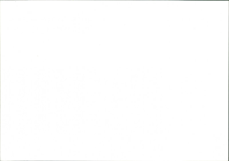 Vineyard - Vintage Photograph