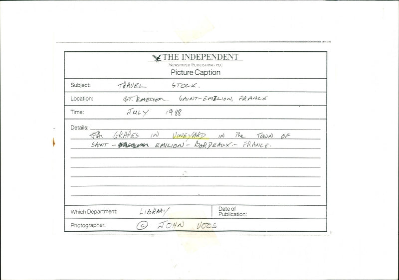 Vineyard - Vintage Photograph