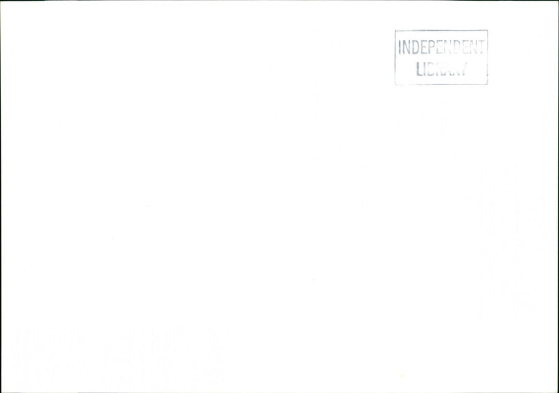 Vineyard - Vintage Photograph