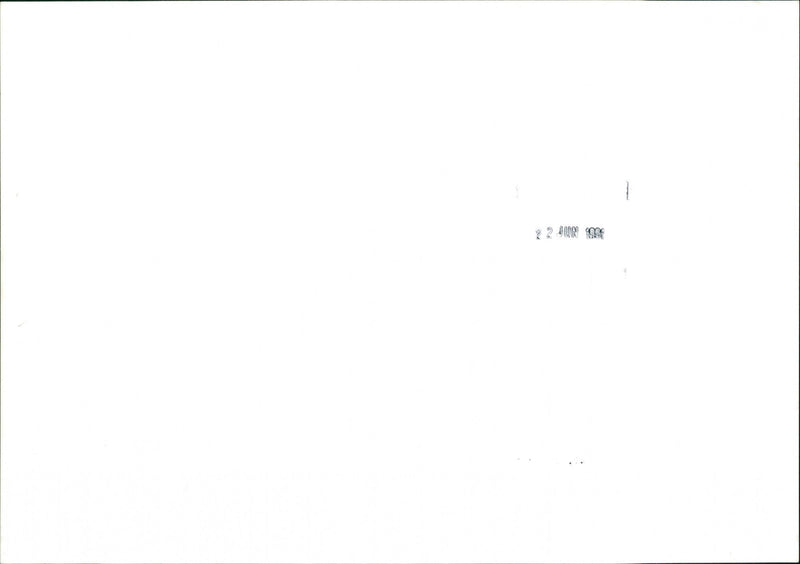 Vineyard - Vintage Photograph