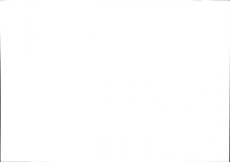 Martina Navratilova - Vintage Photograph