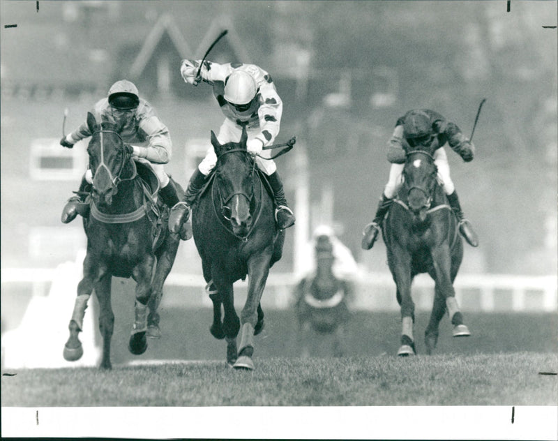 The 35th Whitbread Gold Cup - Vintage Photograph