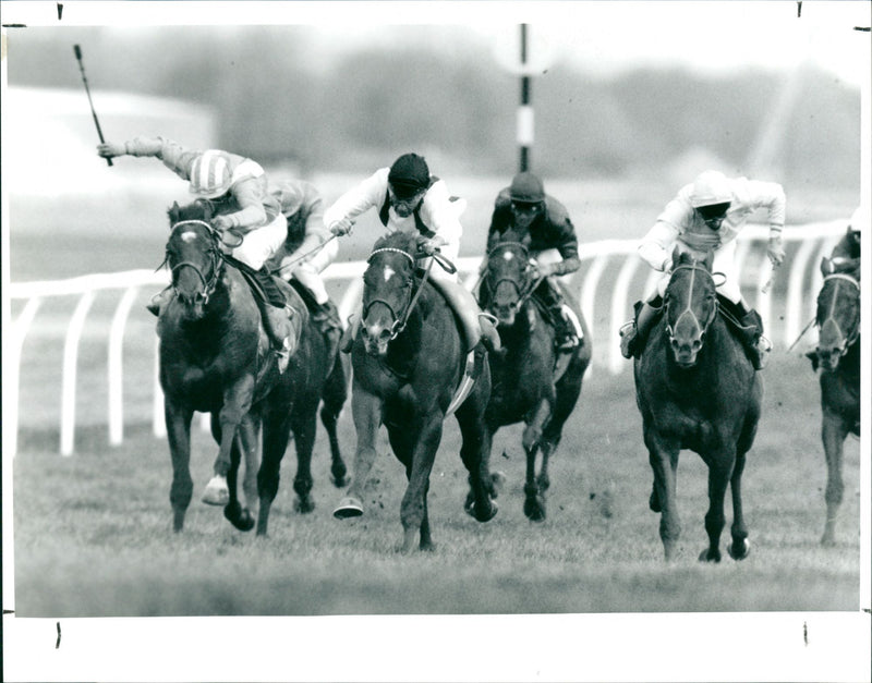 The Singer & Friedlander Greenham Stks - Vintage Photograph