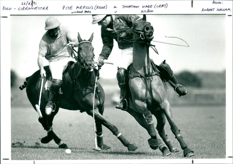 Polo - Vintage Photograph