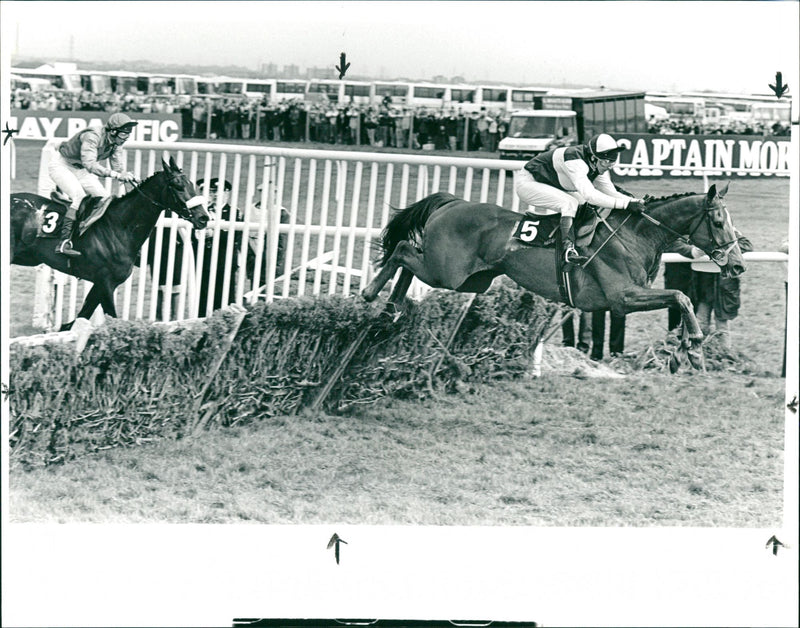 Sandeman Aintree Hurdle - Vintage Photograph