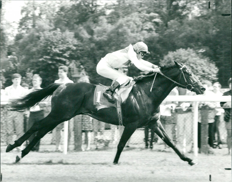 The UB Group Temple Stakes - Vintage Photograph