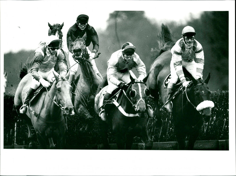 Horse Racing - Vintage Photograph