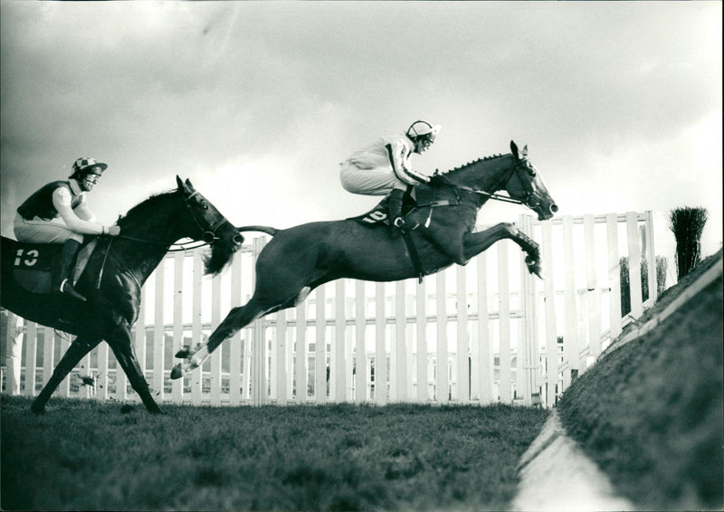 Beau Ranger - Vintage Photograph