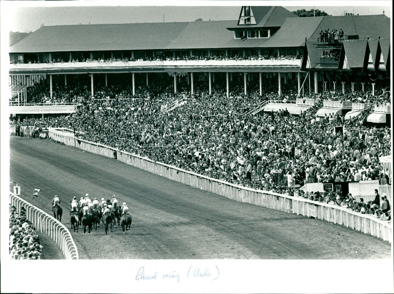 Horse Racing - Vintage Photograph