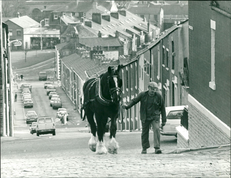 David Clarkson - Vintage Photograph