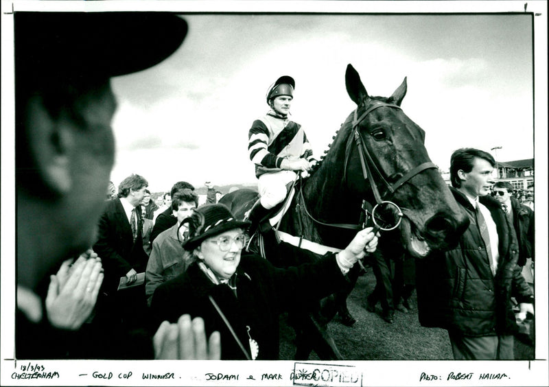 Cheltenham - Gold Cup winner - Vintage Photograph