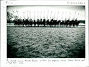 90 PIC - NICHOLAS Musical Ride cousehold Cavalry Mounted Regiment give their fir - Vintage Photograph