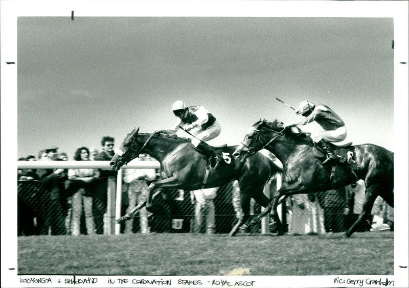 Royal Ascot - Vintage Photograph