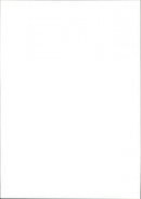 Water skiing - Vintage Photograph