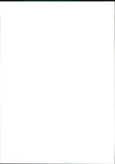 Water skiing - Vintage Photograph