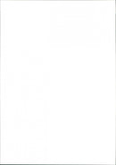 Water skiing - Vintage Photograph