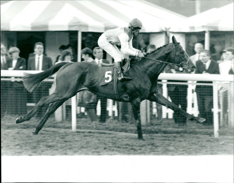 The Dalham Chester Vasa - Vintage Photograph