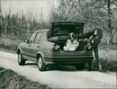 Volkswagen Jetta GL - Vintage Photograph