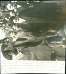 Ayatollah Khomeini - Vintage Photograph